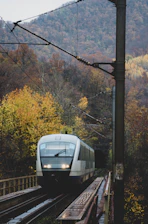 A sleek freight train moving through a lush European forest under a twilight sky.