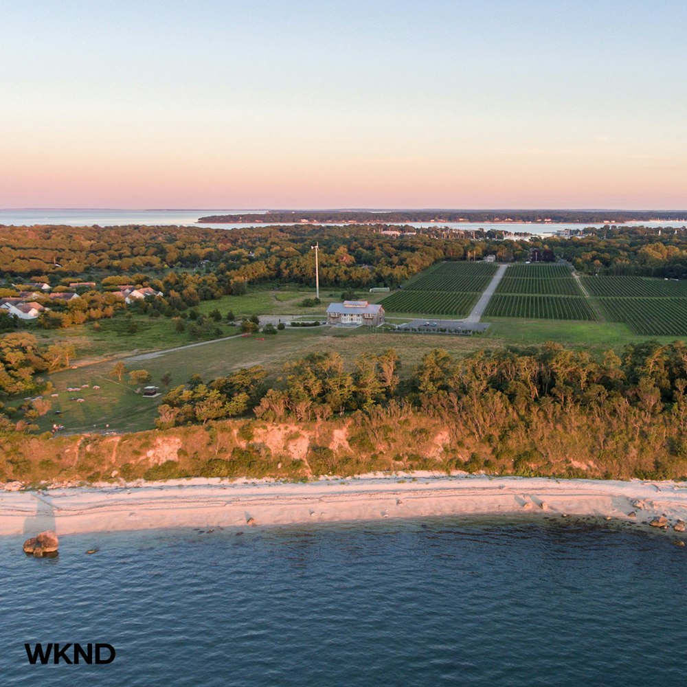 aerial view of green grass field near body of water during daytime