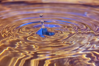 water drop in close up photography