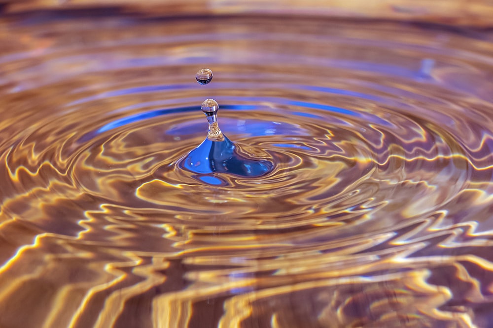 water drop in close up photography