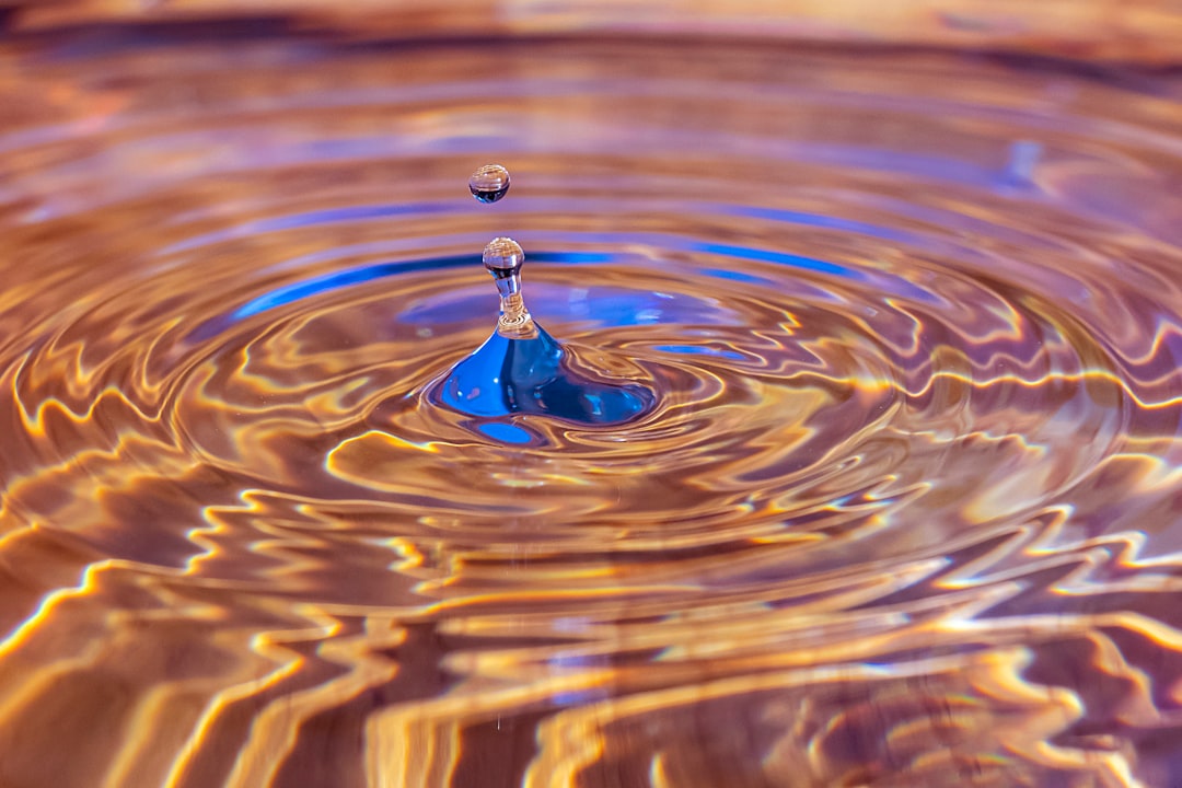 water drop in close up photography