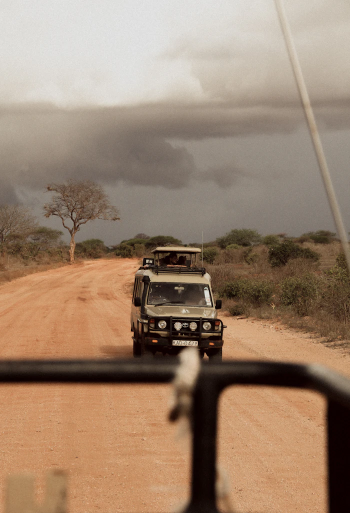 Taita Hills, Amboseli e Tsavo Est