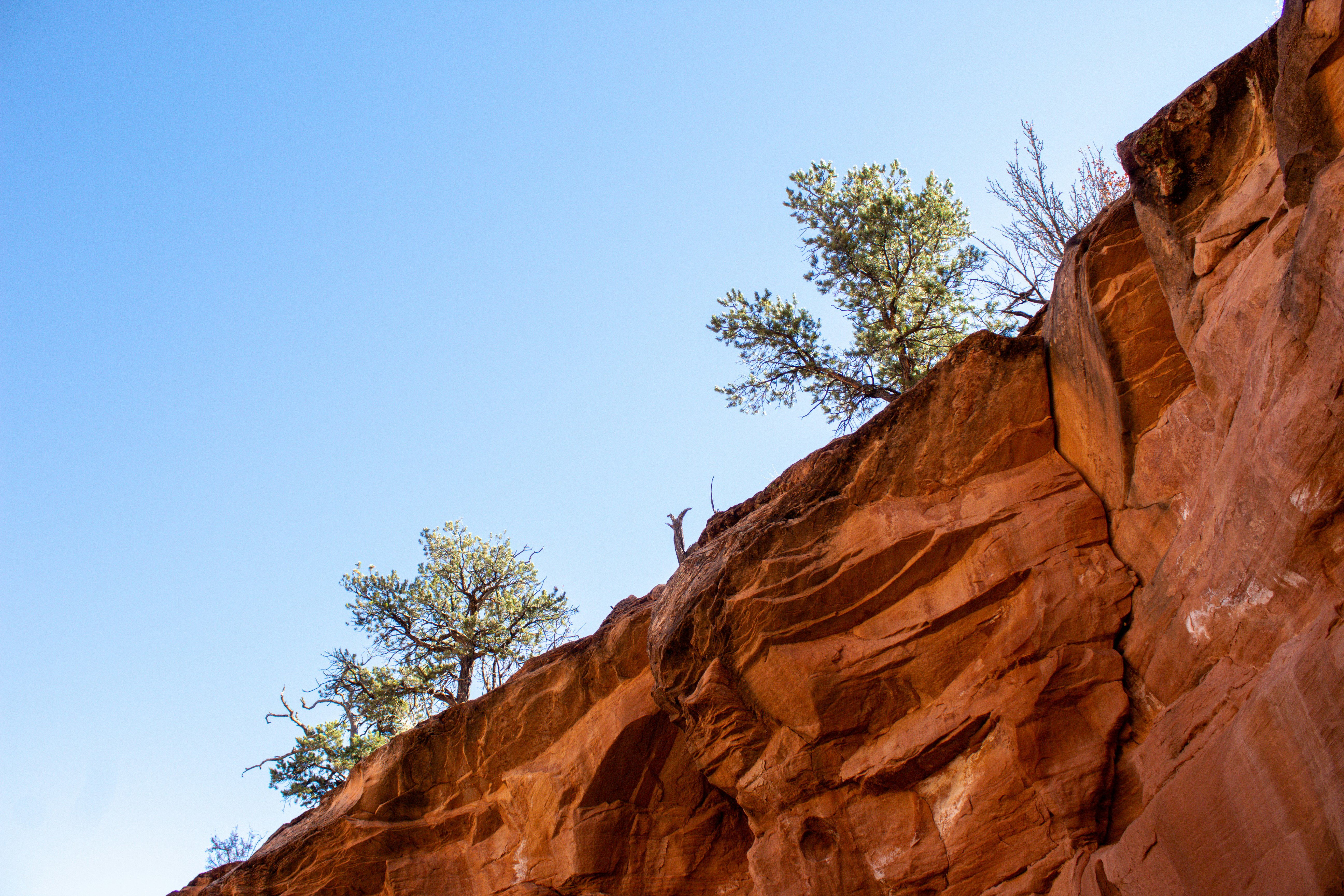 Photo by backroadpackers