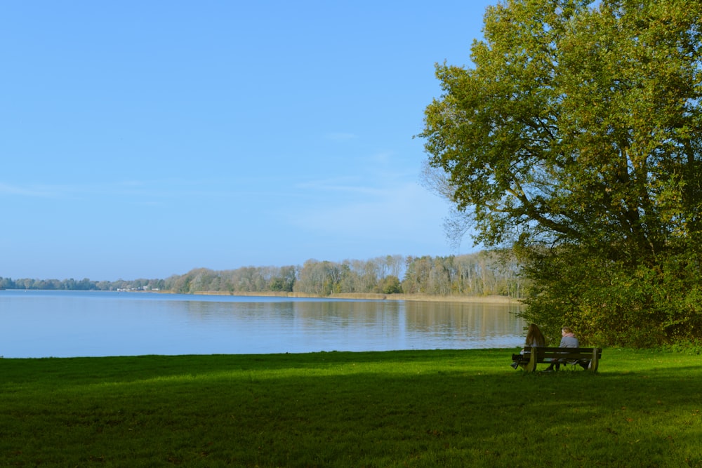 a couple of people sitting on a bench under a tree