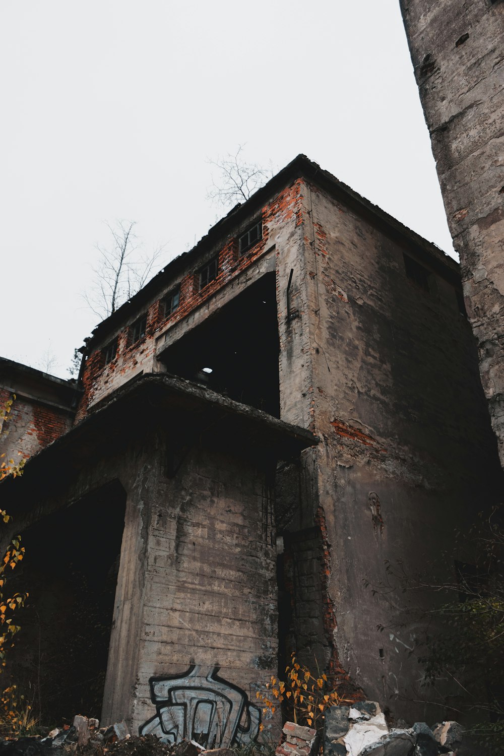 edificio in cemento marrone vicino ad alberi spogli durante il giorno