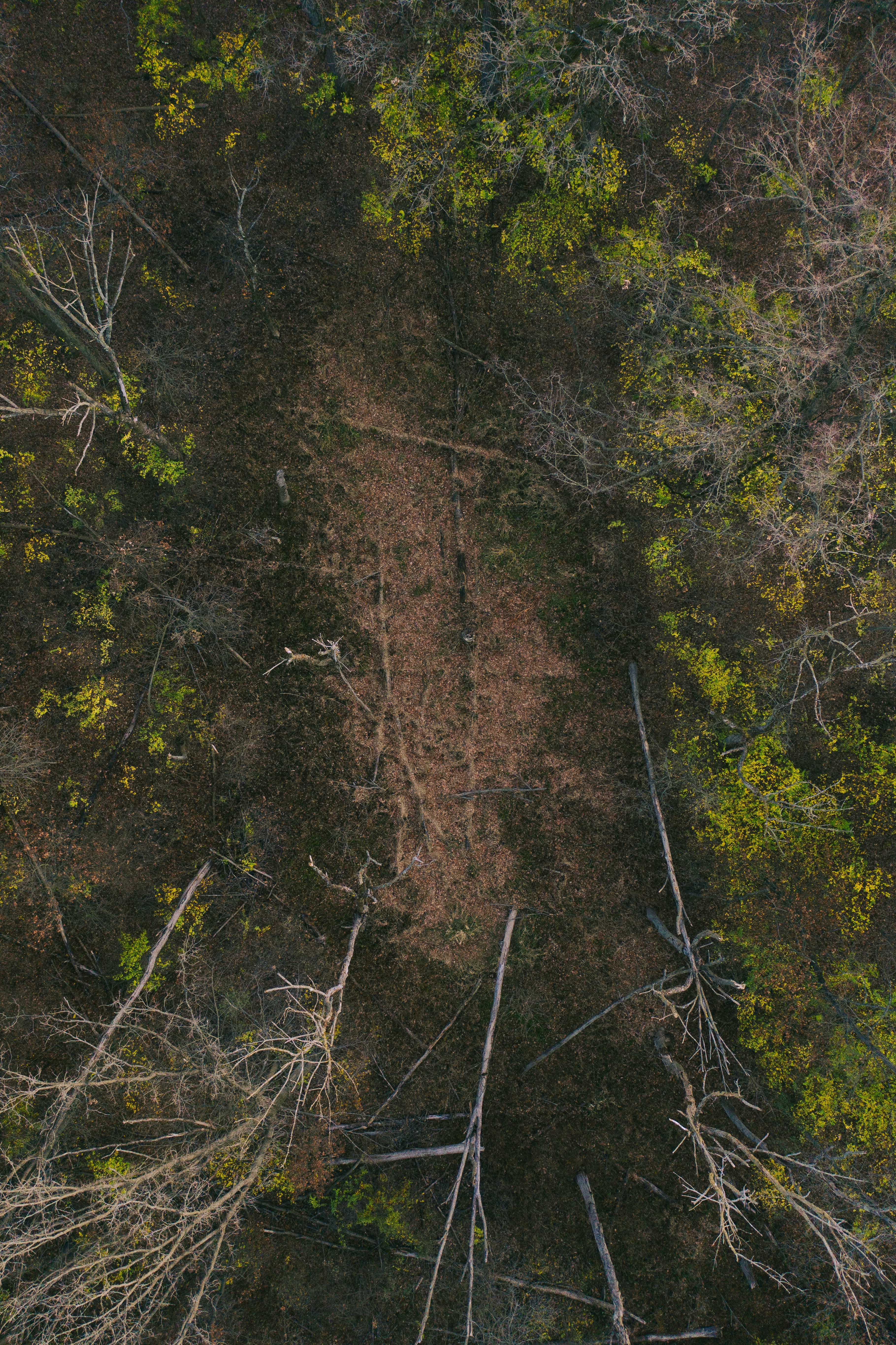 Photo by ________________1a