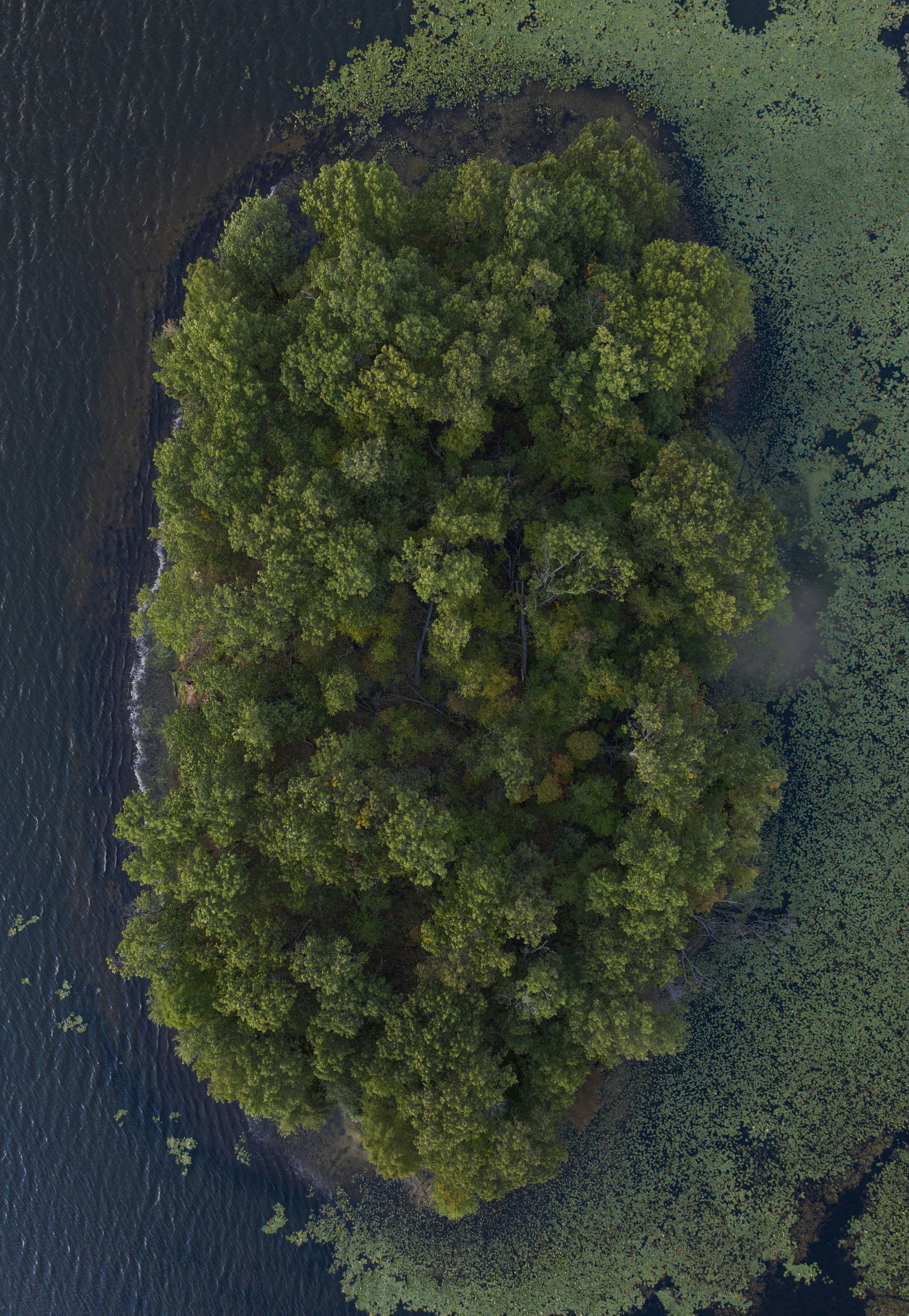 Photo by ________________1a