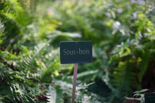 A small rectangular sign with the text 'Sous-bois' is placed against a backdrop of lush green foliage and ferns. The sign is mounted on a thin metal stick, and the greenery appears vibrant and dense, suggesting a forest or garden setting.