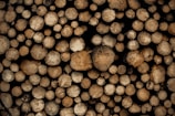 A tightly packed stack of cut wooden logs of varying diameters. The logs have rough surfaces and are arranged in a compact, orderly manner. The colors range from light beige to dark brown, showing the natural texture of the wood.