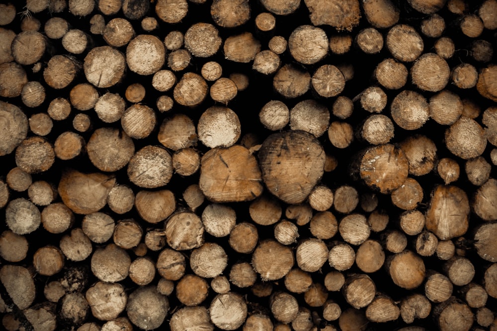 pile of brown wooden logs