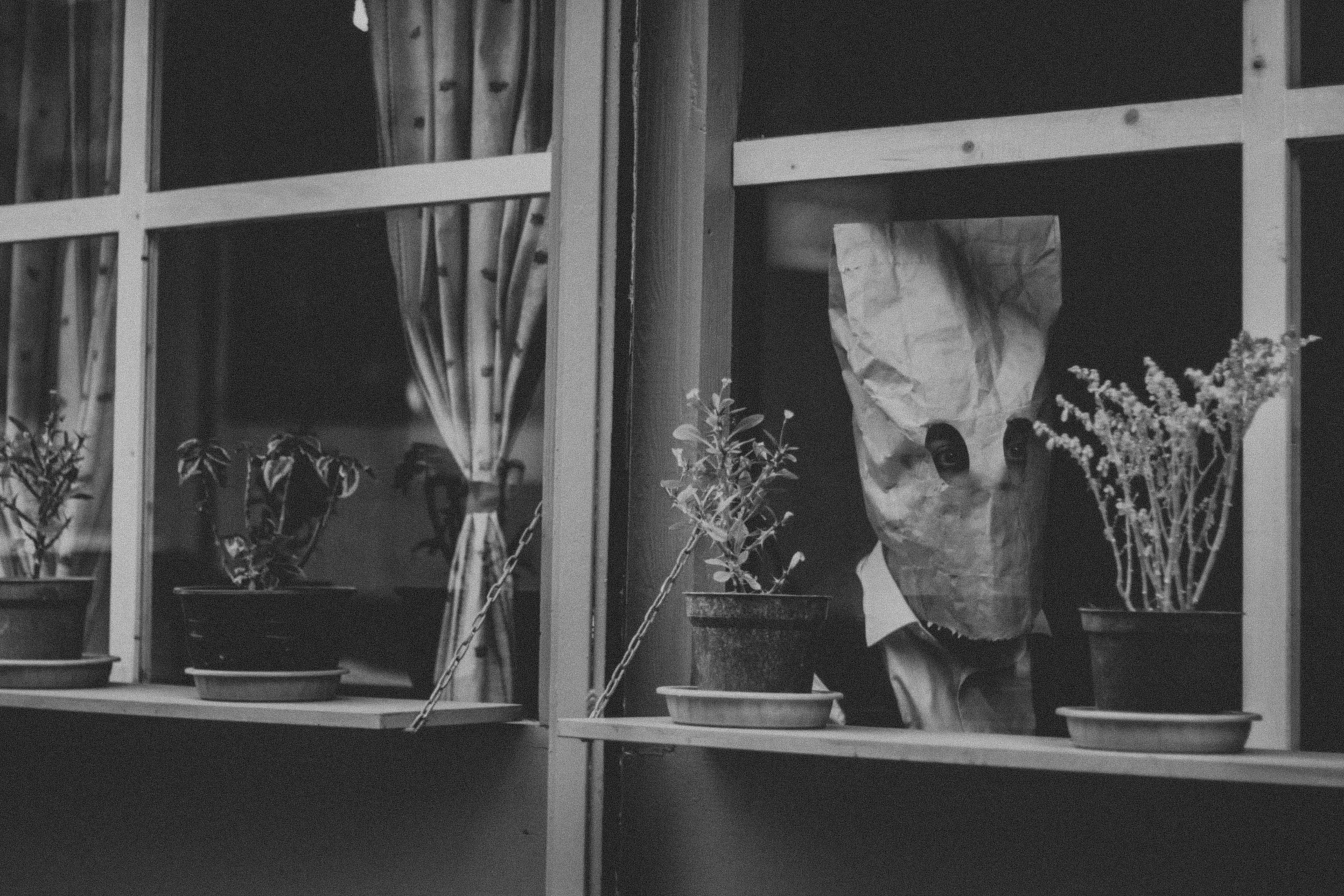 Photo by alichoubin
