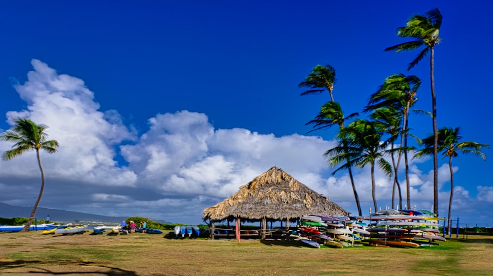 brown nipa hut on green grass field under blue sky during daytime