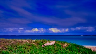 A crisp mobile wallpaper displaying a serene ocean horizon under a clear sky.