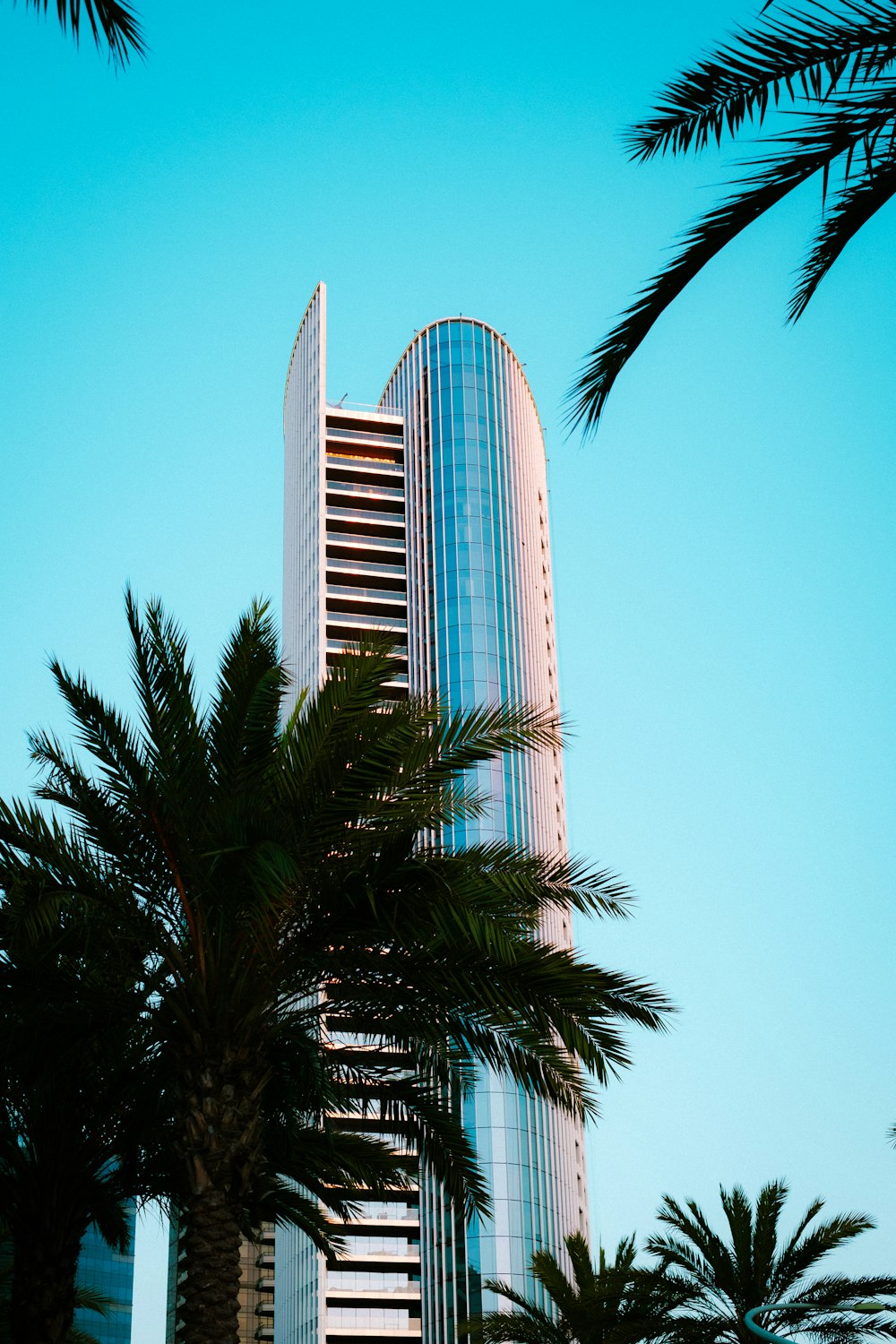 green palm tree near white concrete building during daytime