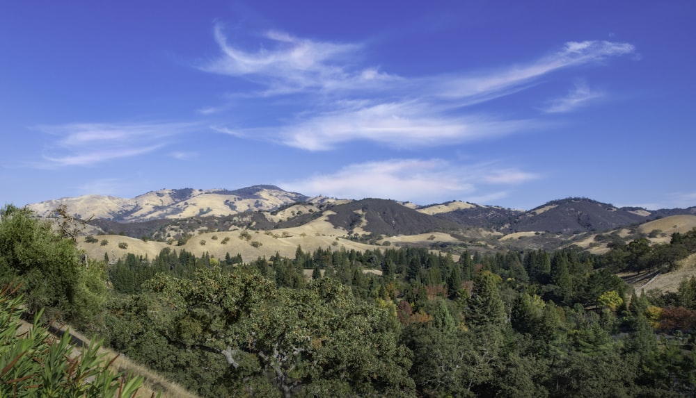 green trees and brown mountains under blue sky during daytime