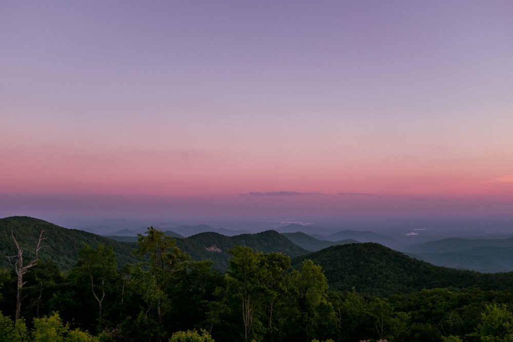 green trees on mountain during sunset