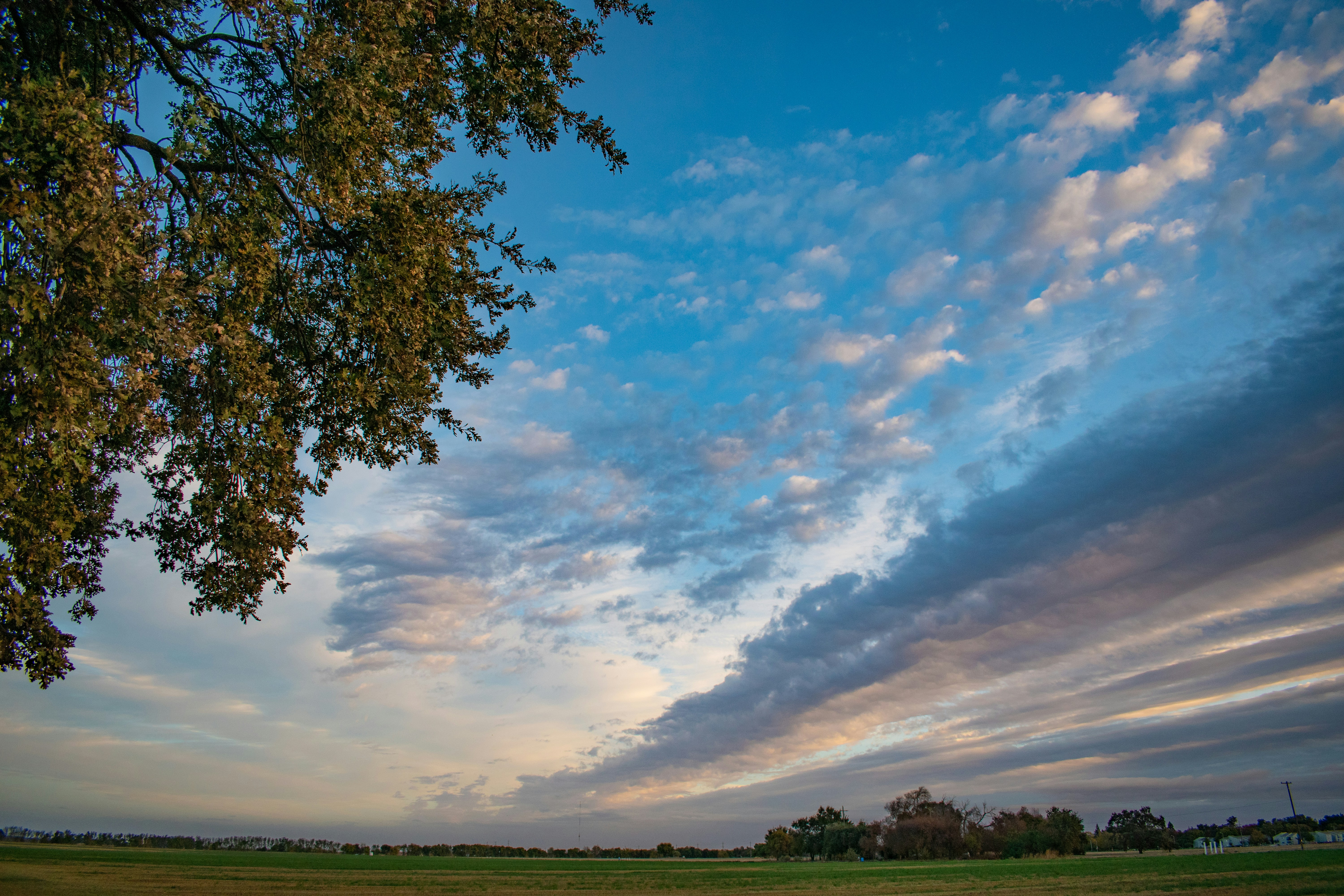 Photo by elisastonephotography