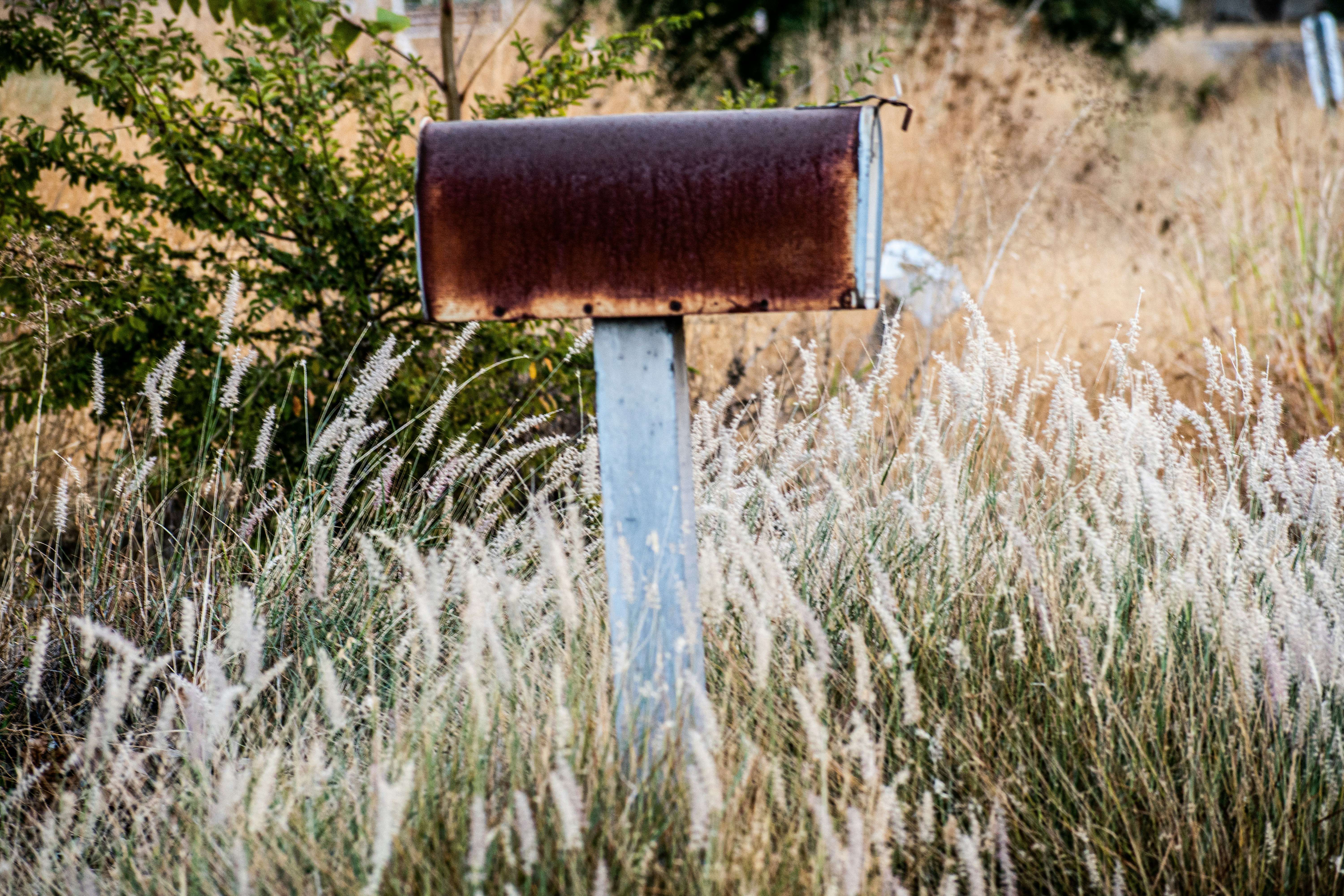 Photo by elisastonephotography