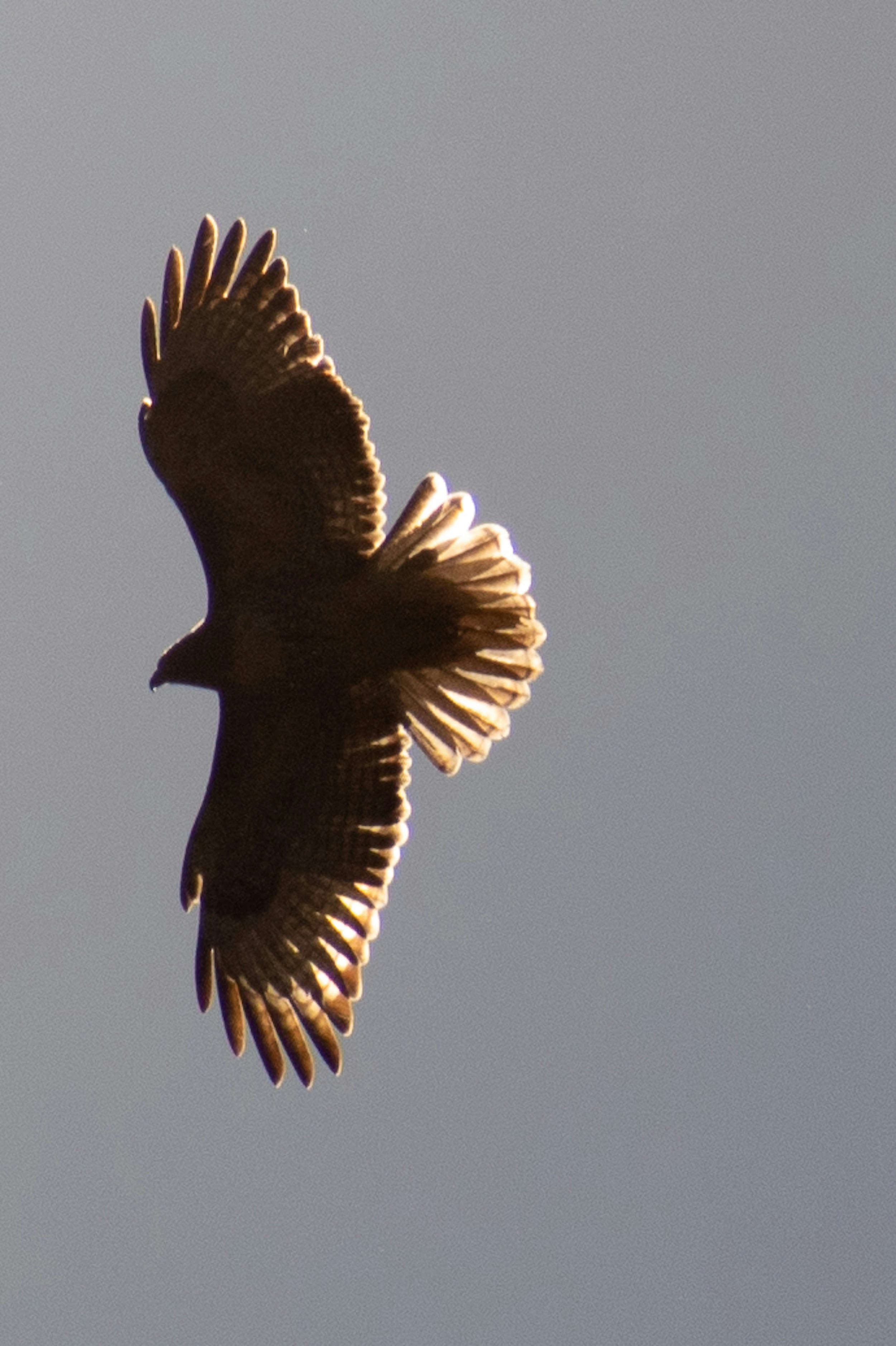 Photo by elisastonephotography