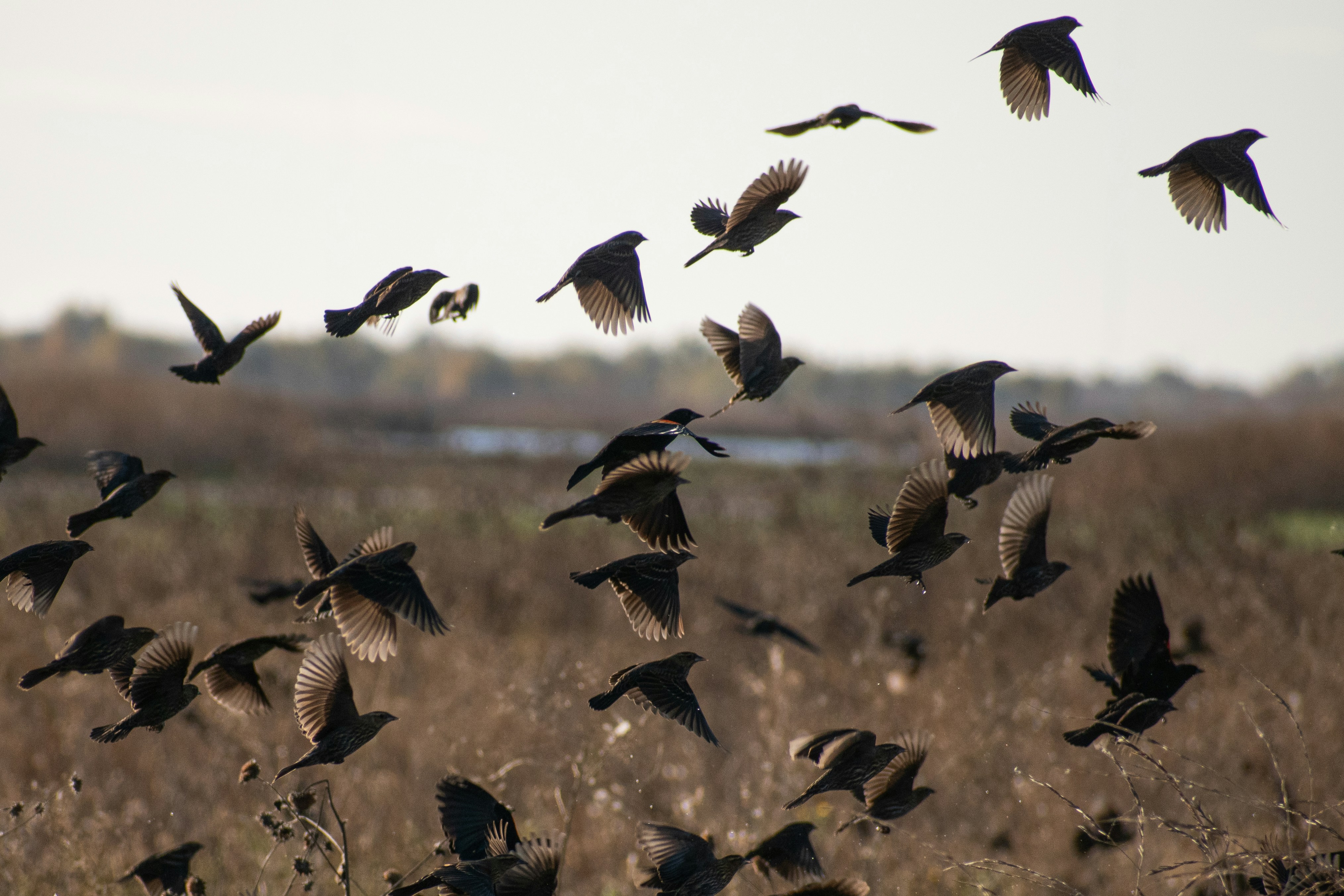 Photo by elisastonephotography