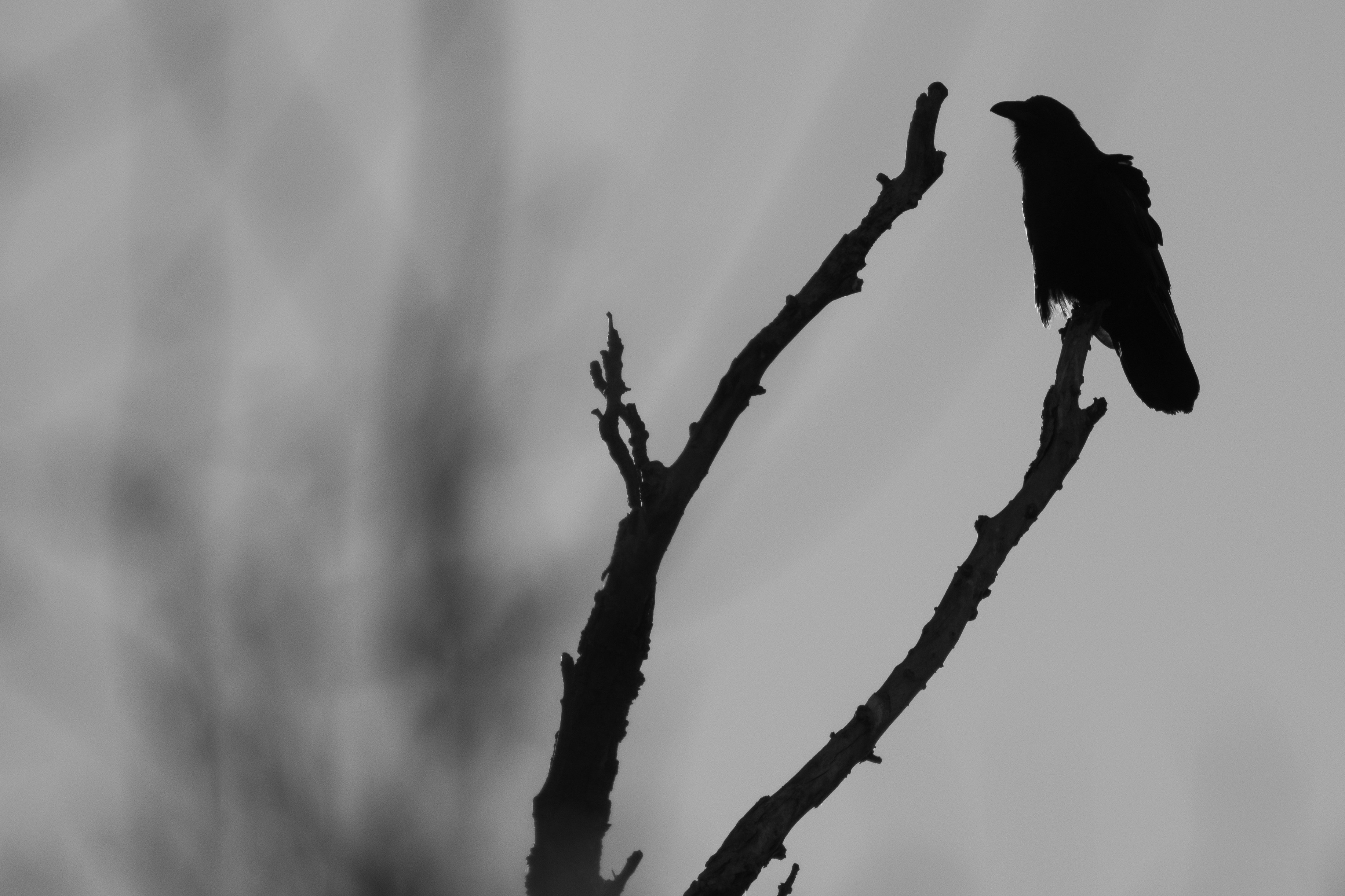 Photo by elisastonephotography