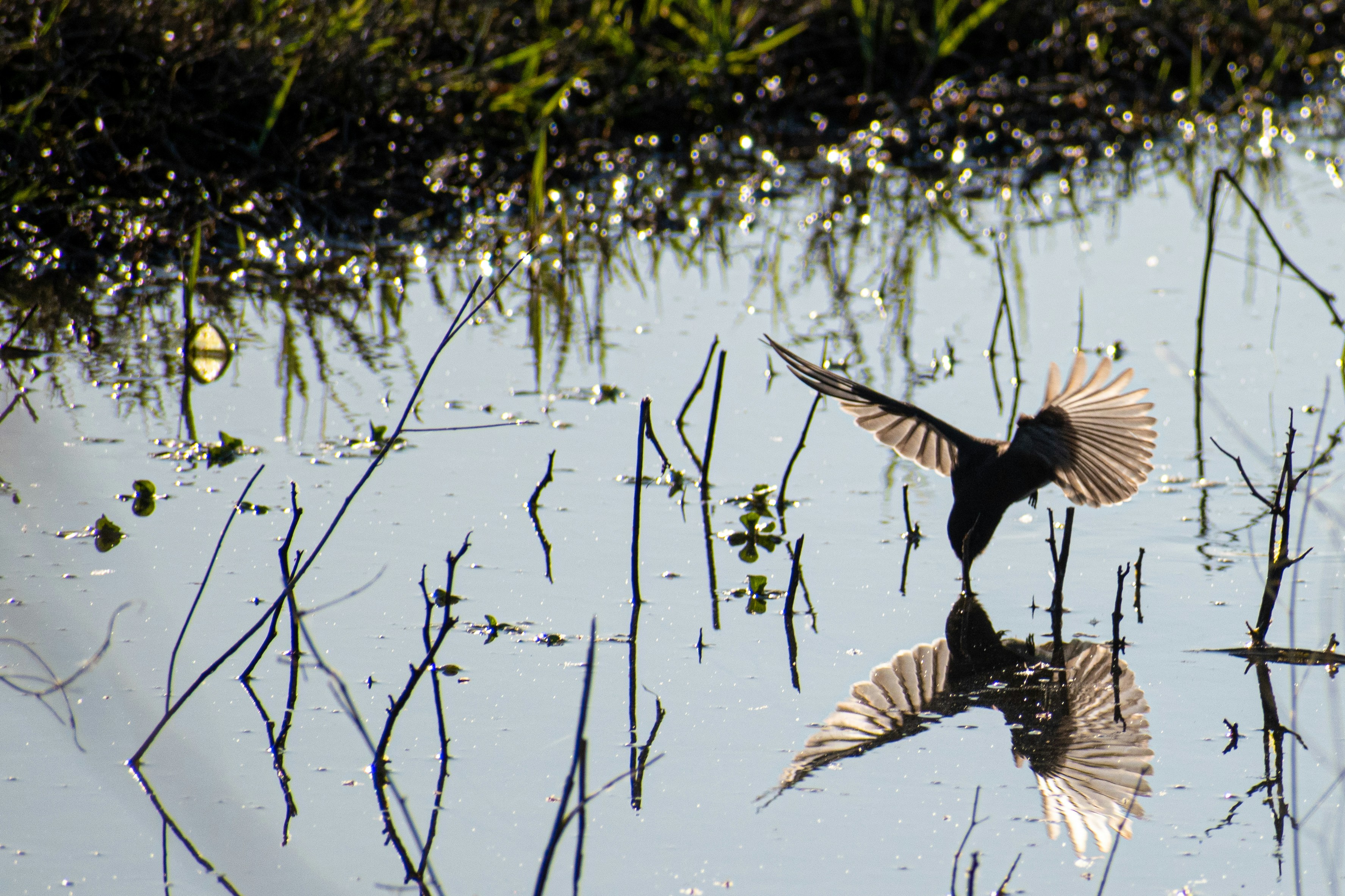 Photo by elisastonephotography