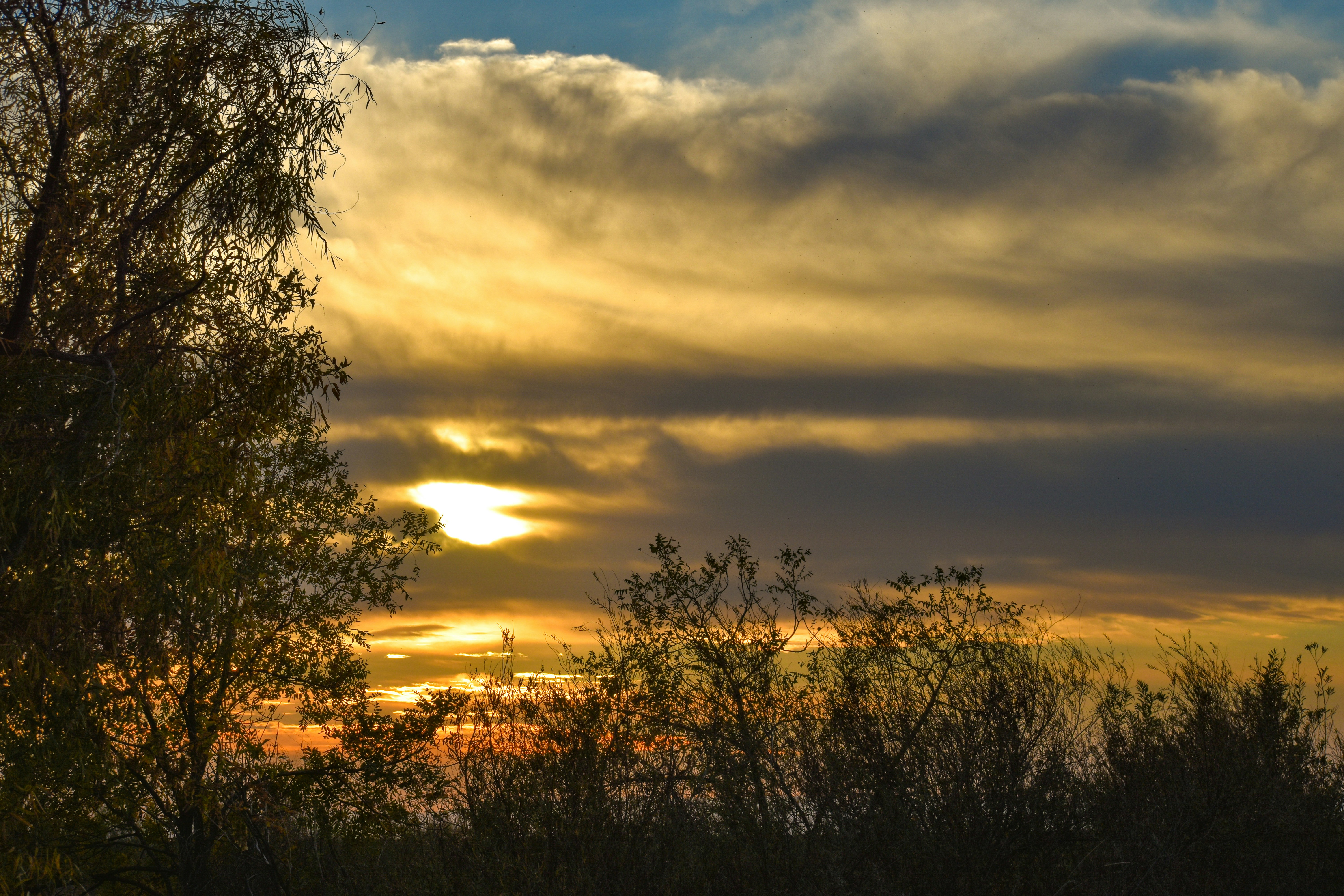 Photo by elisastonephotography