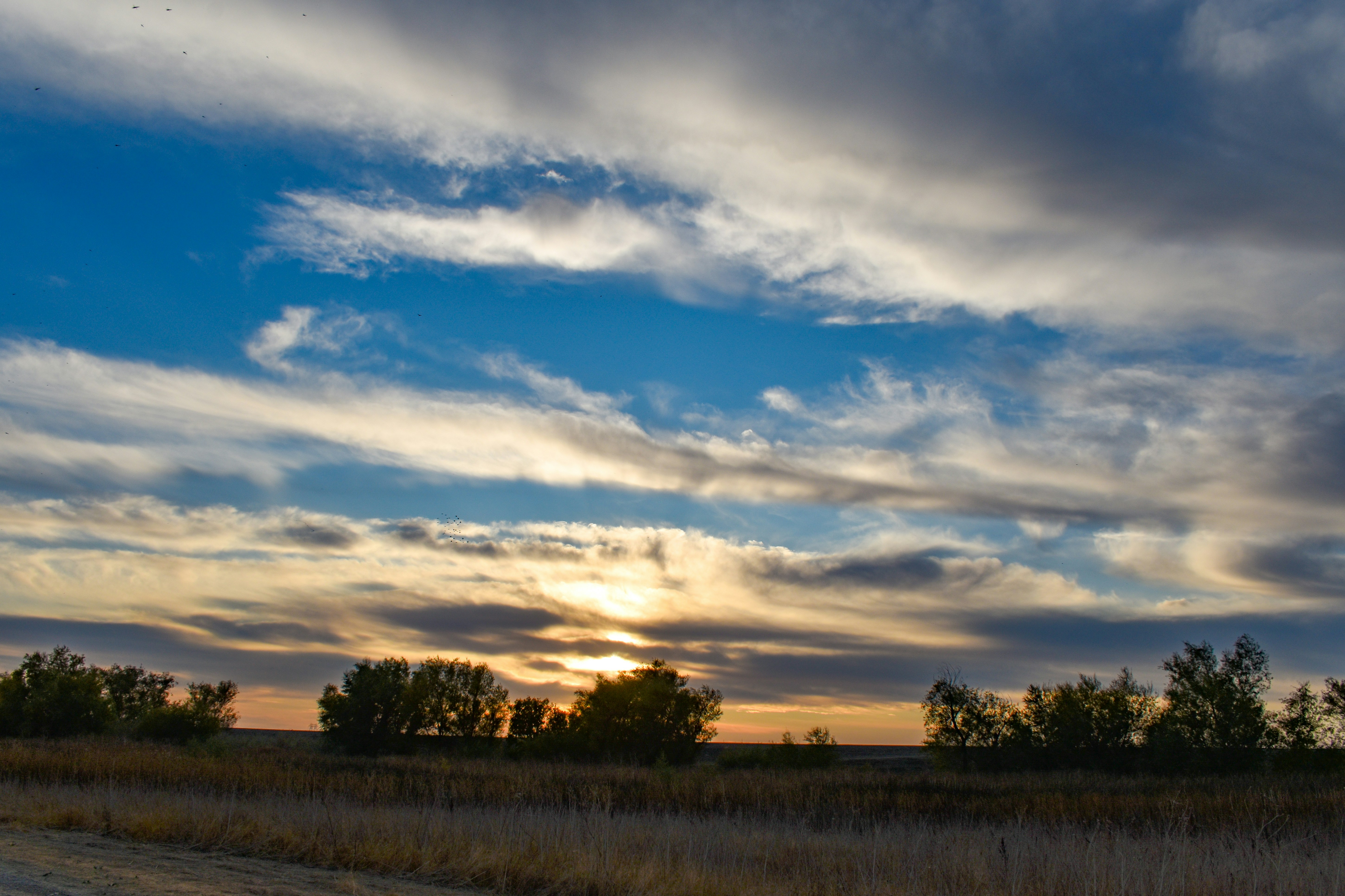 Photo by elisastonephotography