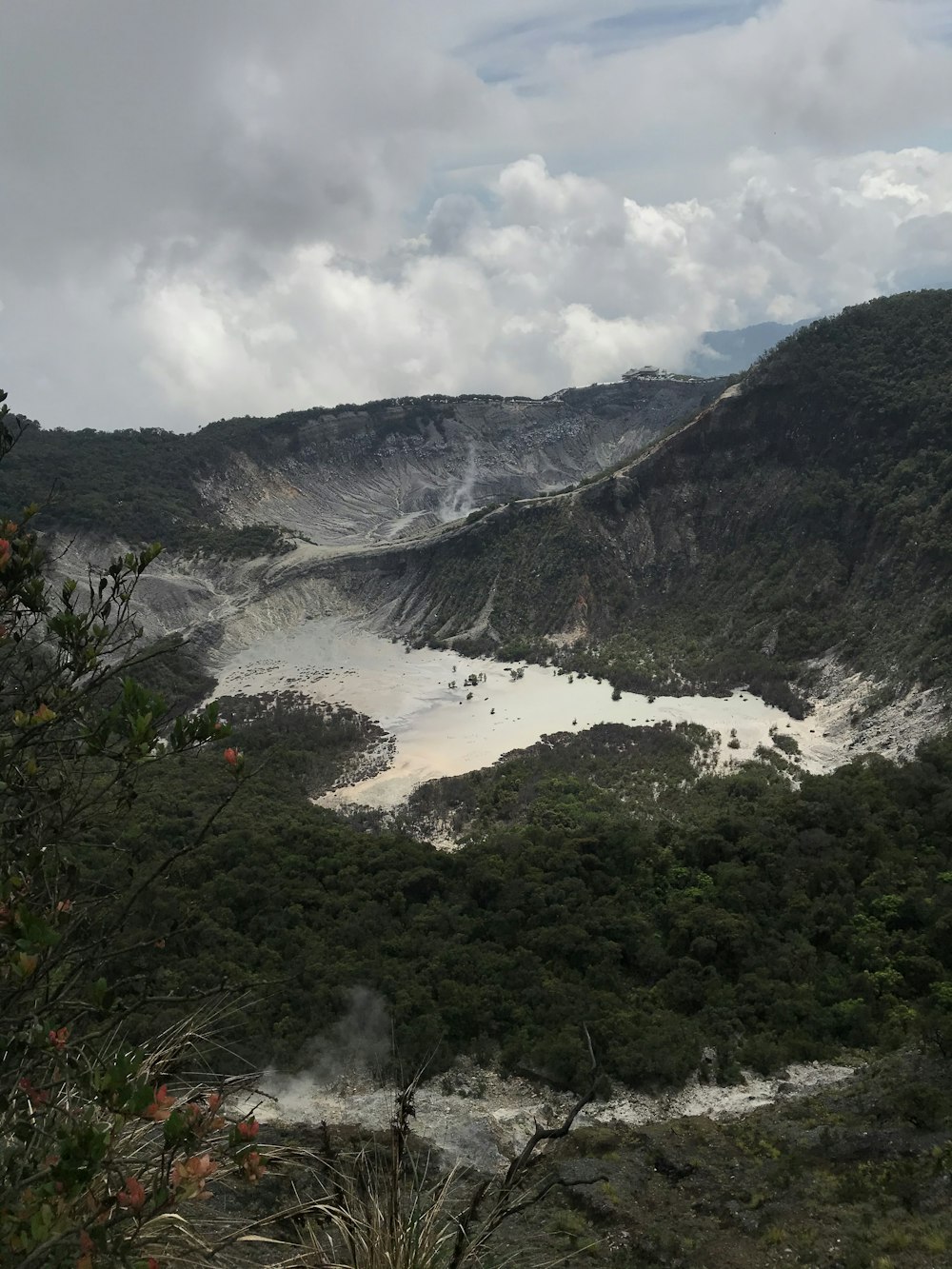 green trees on brown sand near mountain under white clouds during daytime