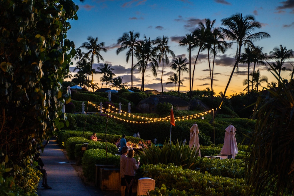 people walking on pathway between palm trees during daytime