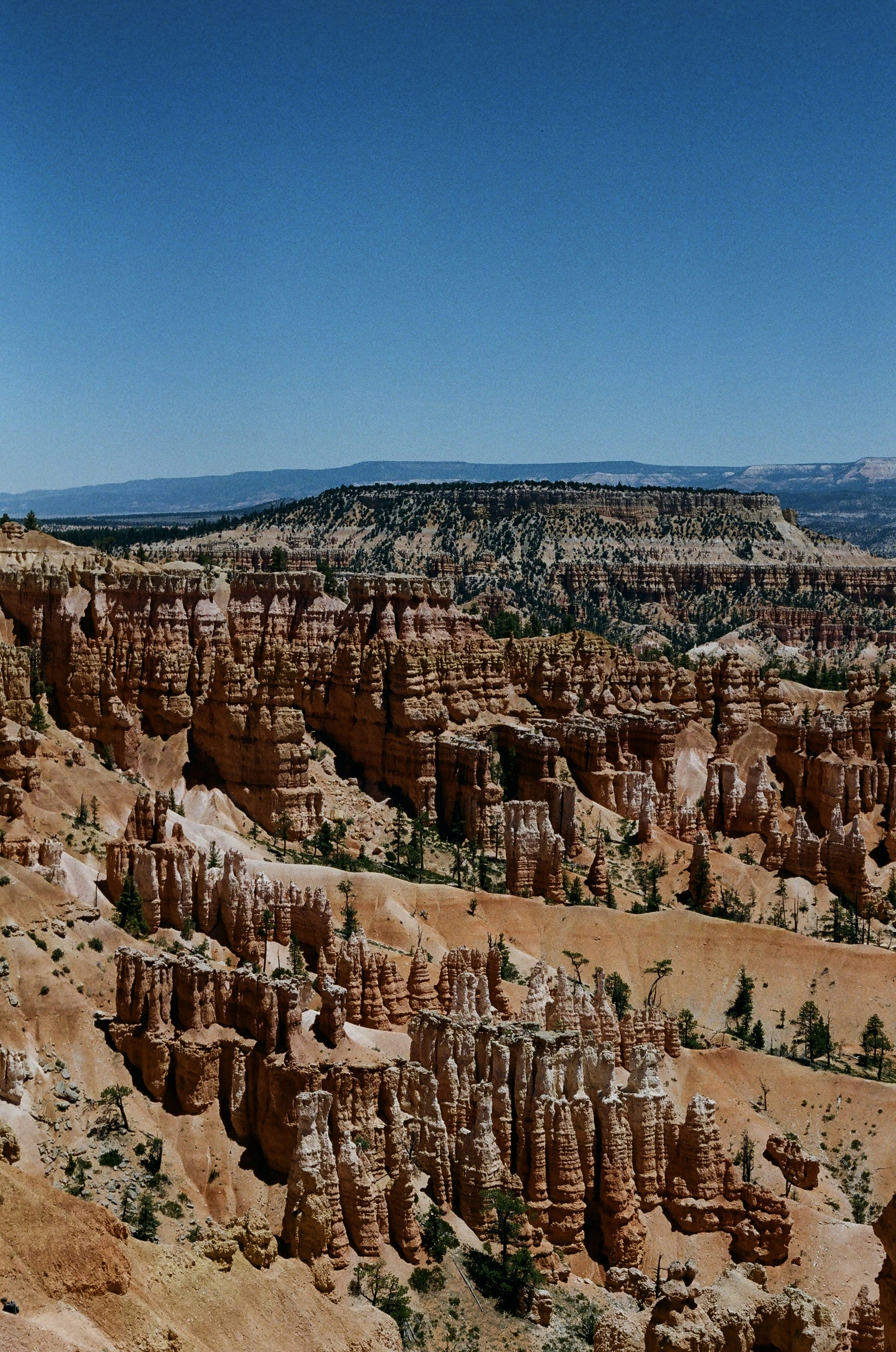 Photo by alexanderantinarelli