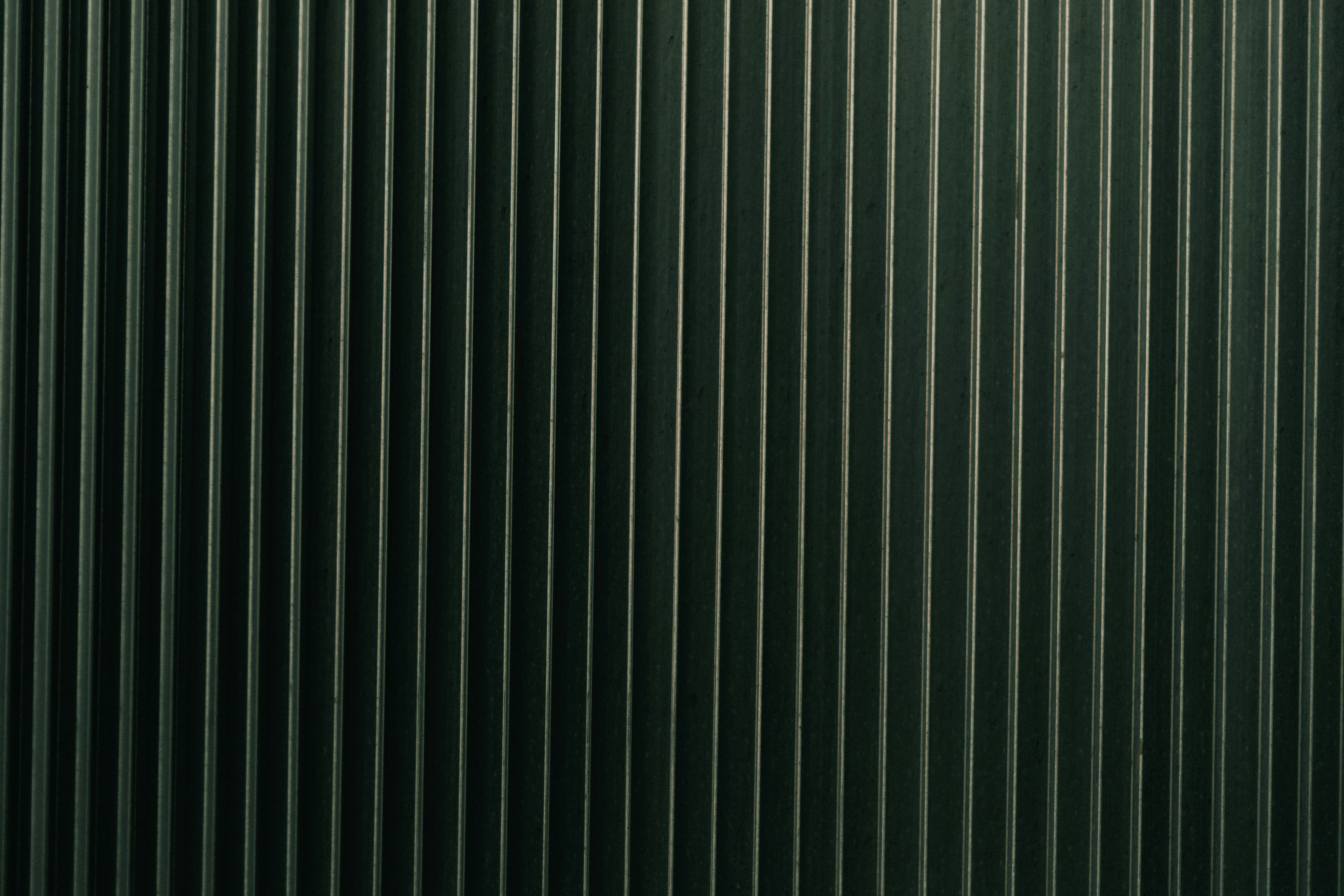 Photo by theshuttervision