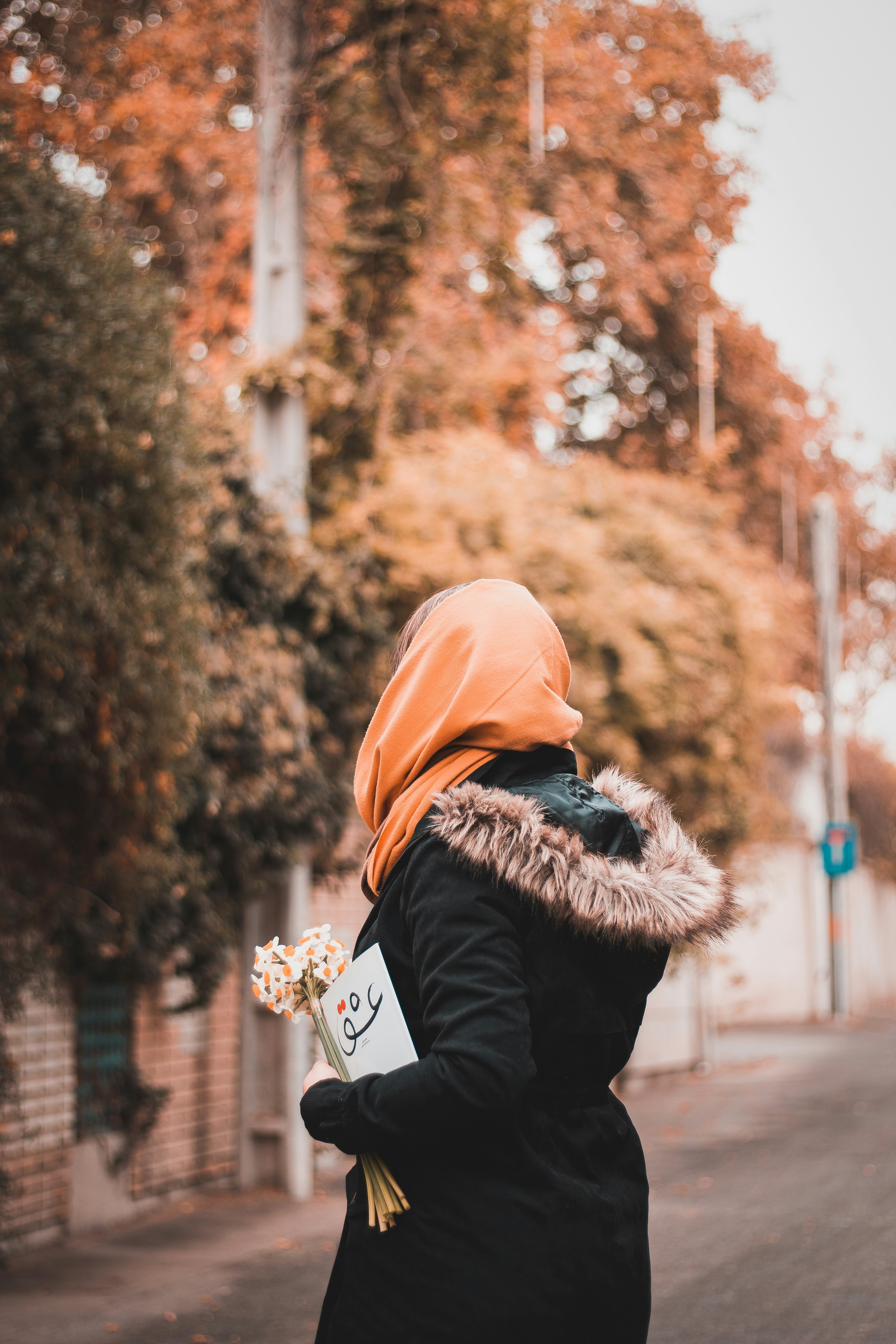 Photo by hamedpicsart