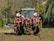 A large tractor with a red plow attachment is actively tilling a field. The equipment is covered in freshly turned earth, indicating recent use. The background features a row of trees and hedges along a residential street, with a parked car visible. The scene depicts a rural area transitioning into an urban setting.