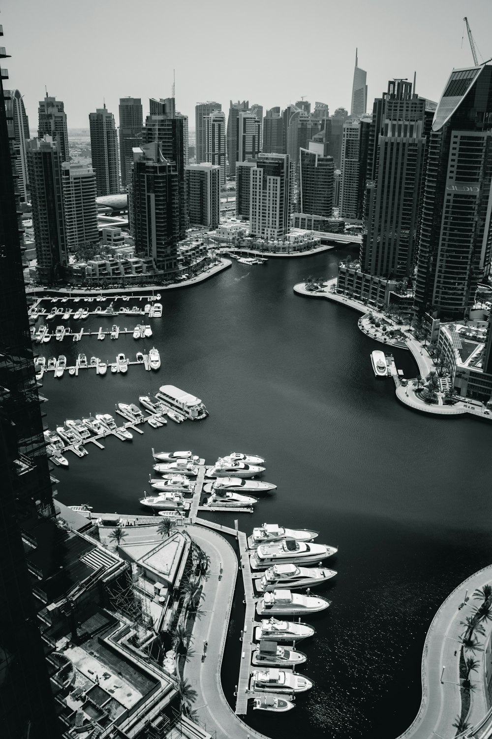 aerial view of city buildings near body of water during daytime