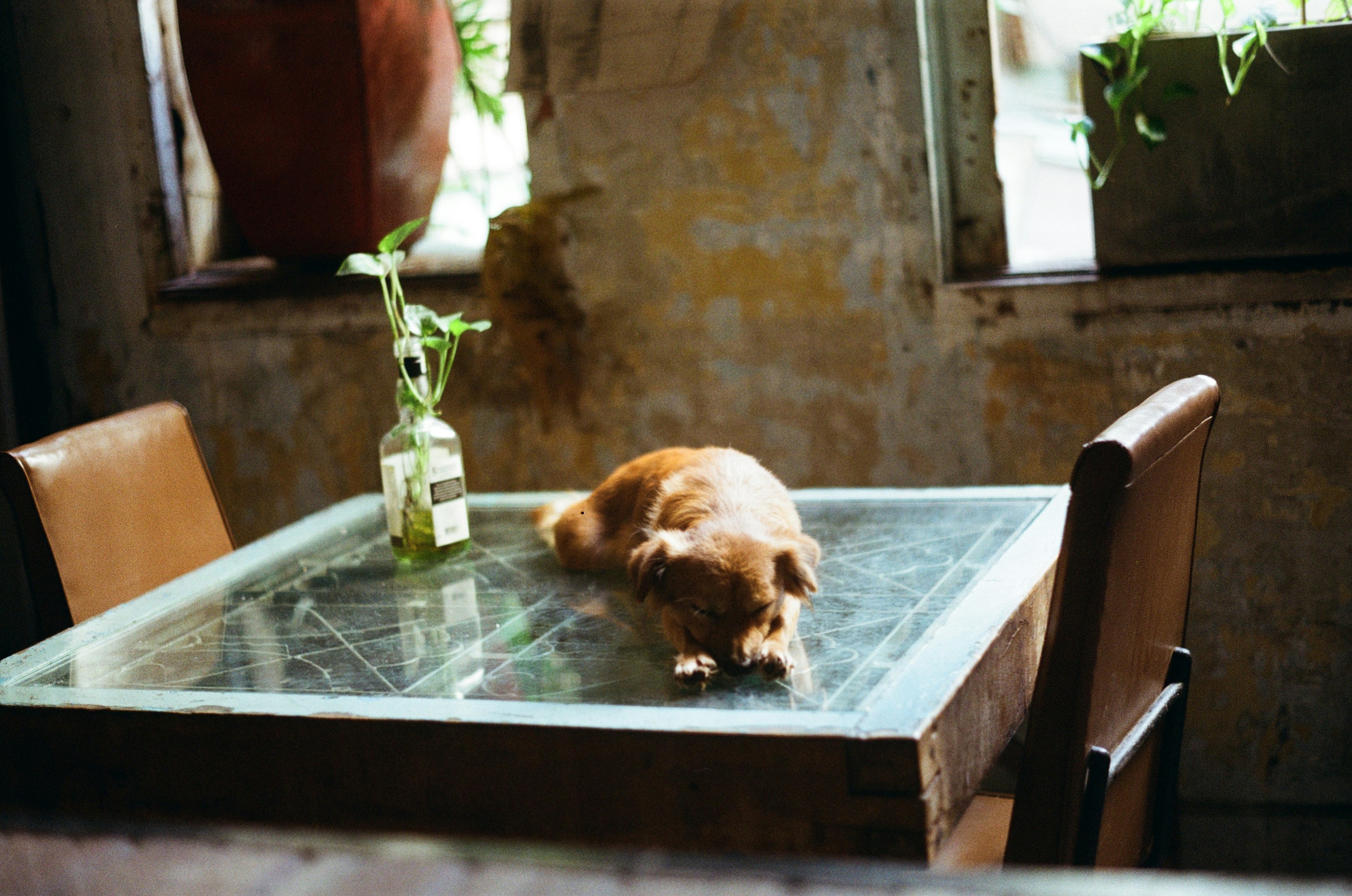 Photo by cat_rabilious