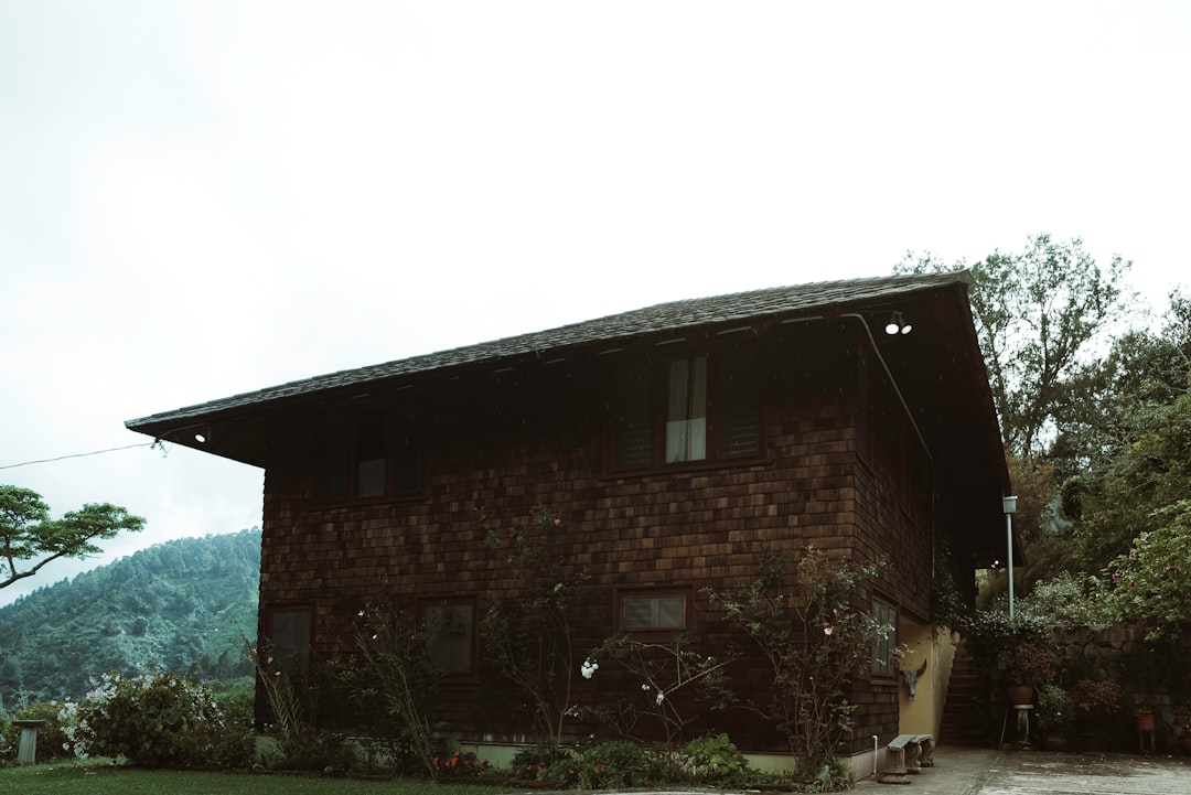 travelers stories about Landscape in Blue Mountain, Jamaica