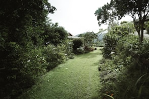 green grass field near houses during daytime