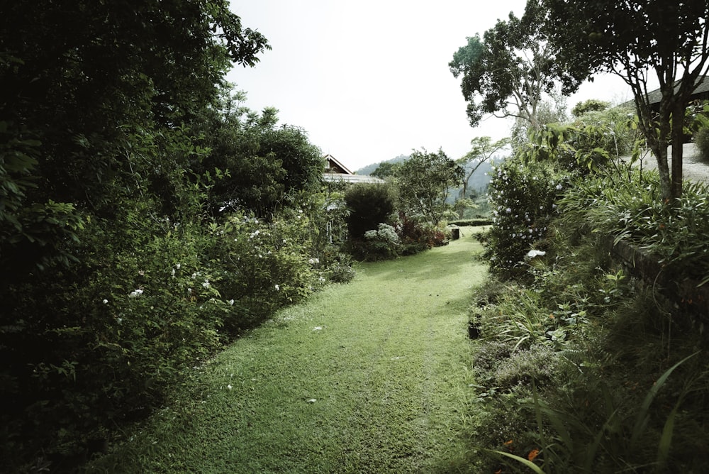 green grass field near houses during daytime