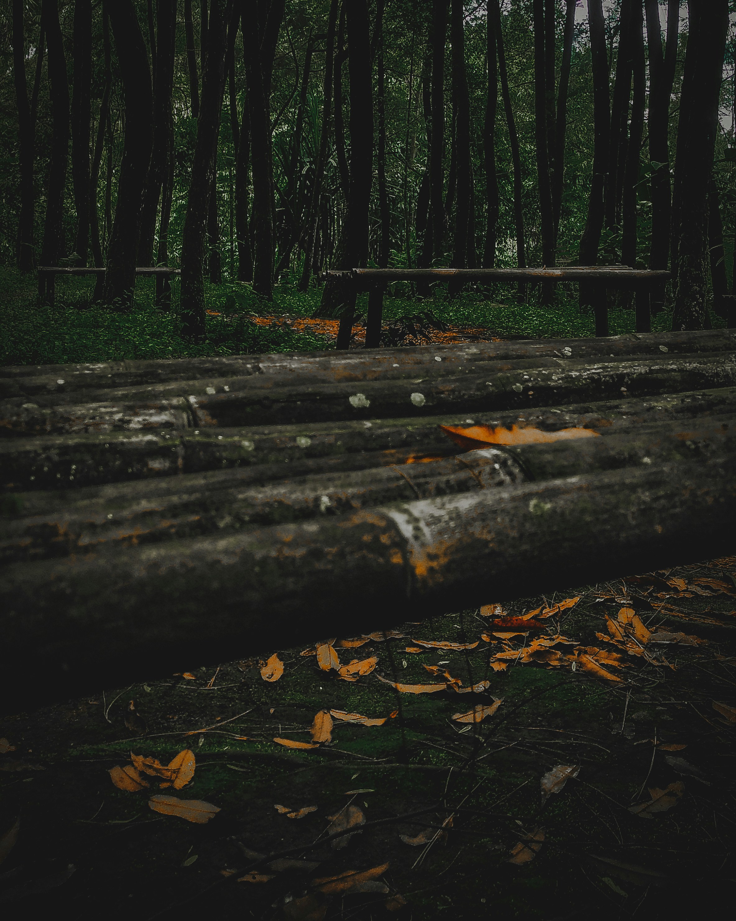 Photo by rezafahrefi26