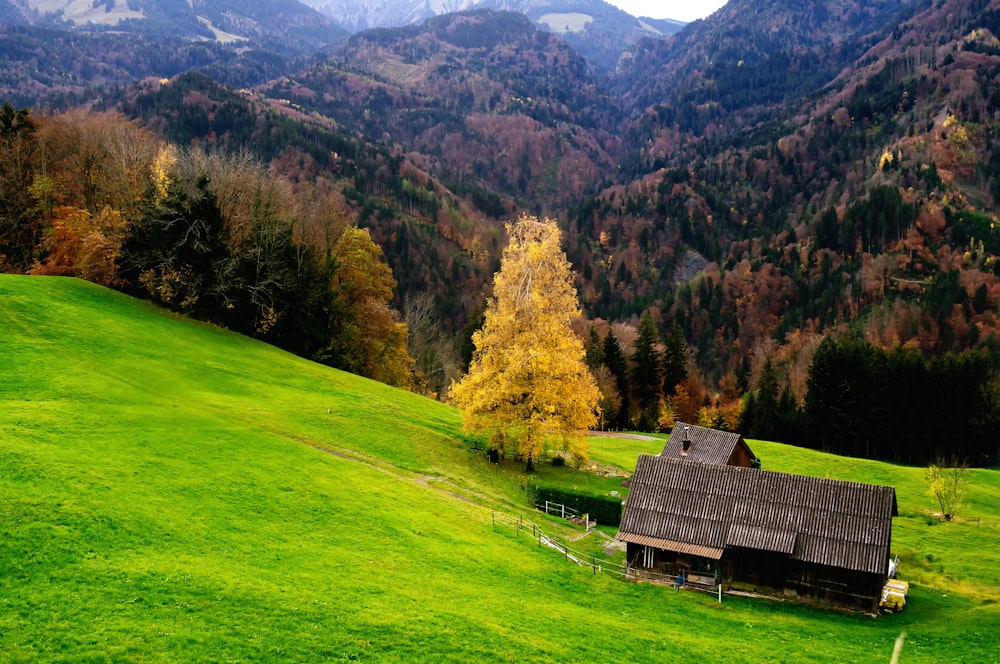 brown wooden house on green grass field near green trees and mountains during daytime