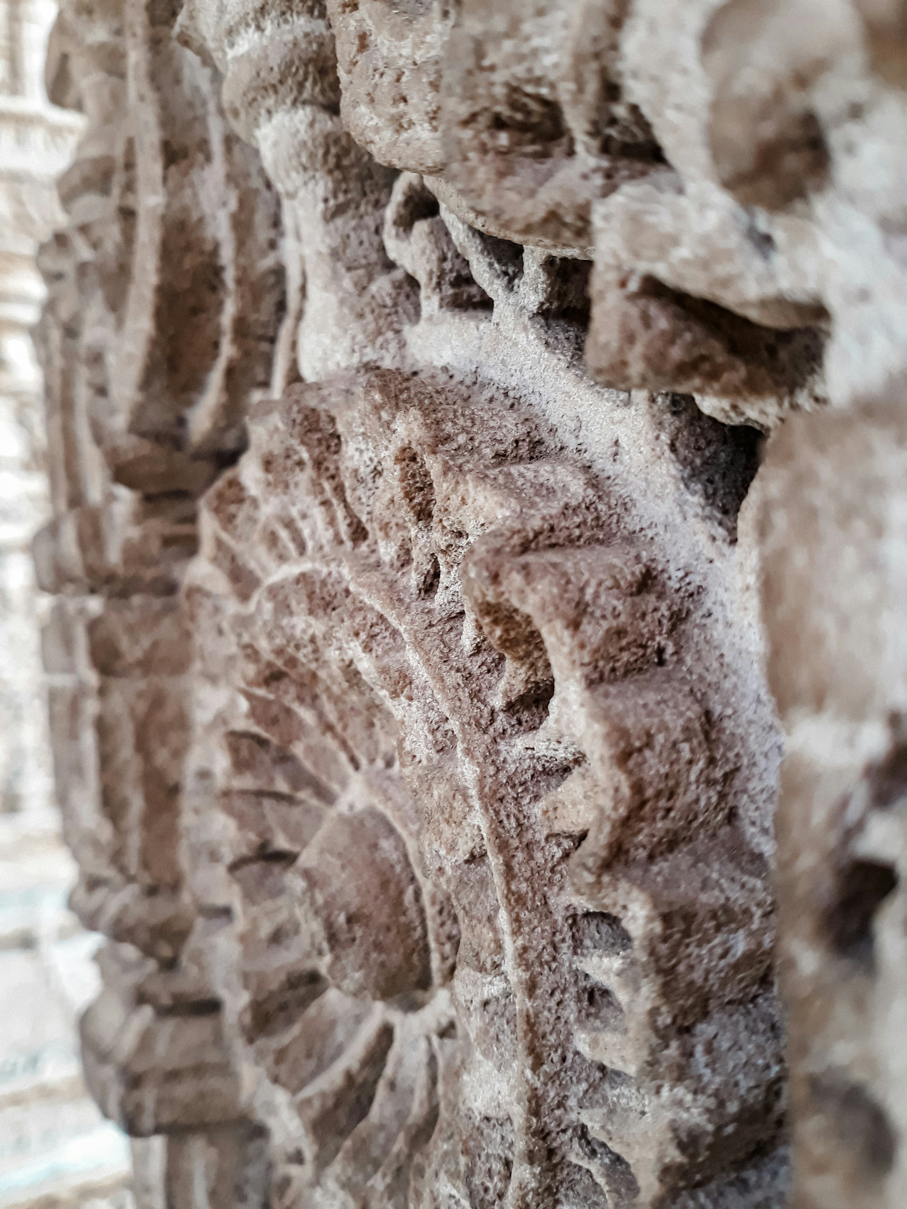 Close-up of intricate palace stone carvings showing floral and geometric patterns, warm sandstone texture, centuries of weathering visible