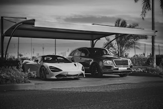 Two luxury cars are parked under a modern canopy in an outdoor setting. The car on the left is a sleek sports car with aerodynamic curves, while the car on the right is a larger luxury SUV. The environment includes a backdrop of palm trees and a fence, suggesting a location in a warmer climate.