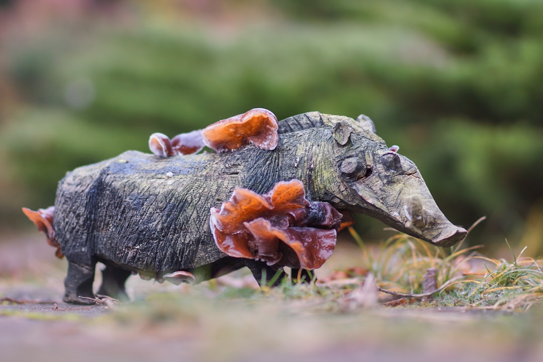 grey and black animal figurine on brown grass