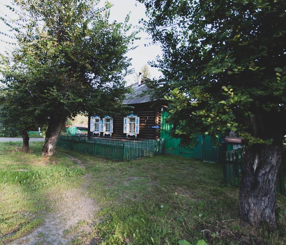 green trees near white and blue house during daytime