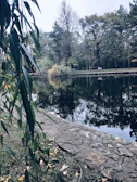 A serene pond reflecting the surrounding greenery and a wooden bench by the water.