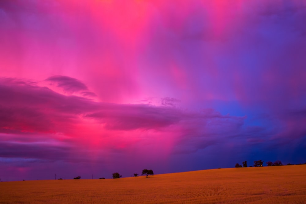 people walking on sand under purple sky