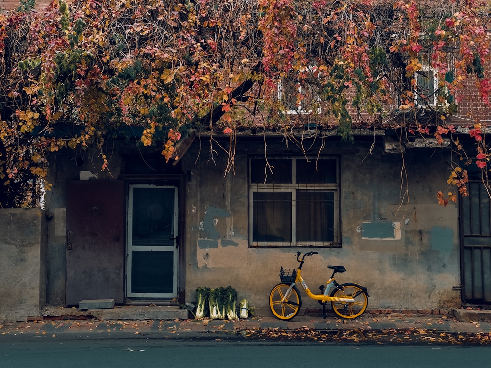 yellow bicycle parked beside gray concrete house