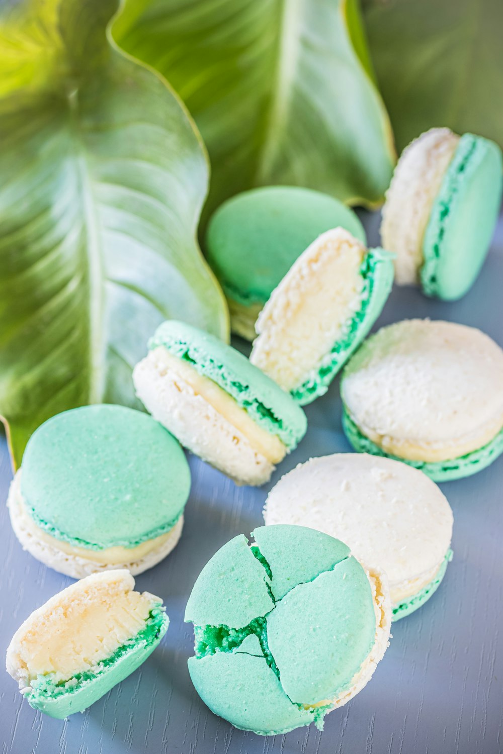 green and white round pastry on white ceramic plate