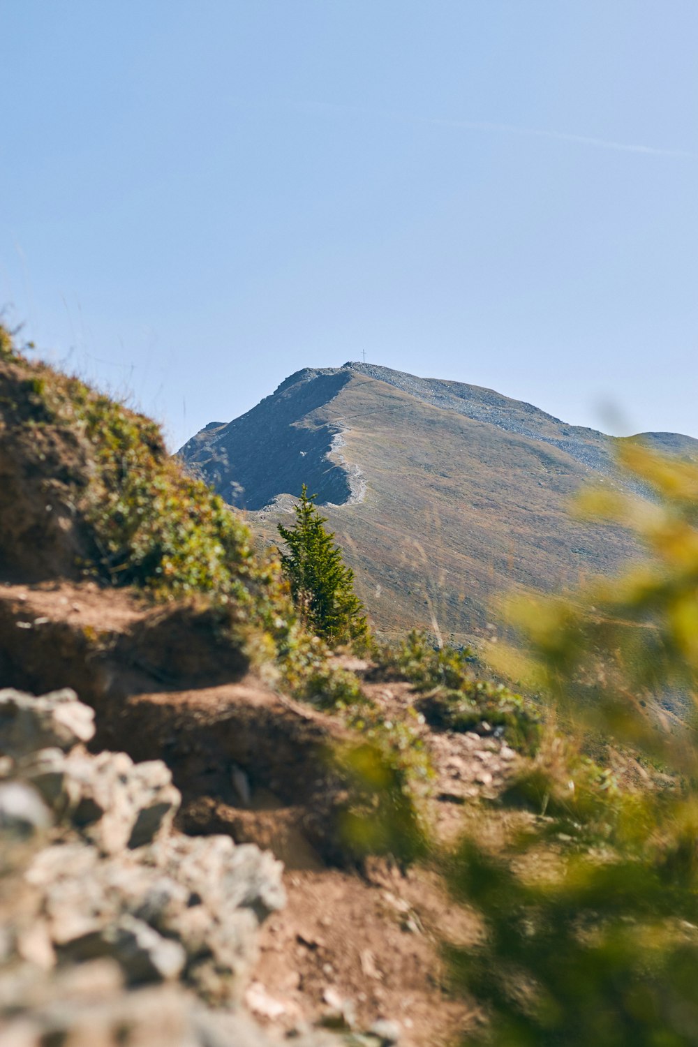 green and brown mountain under blue sky during daytime